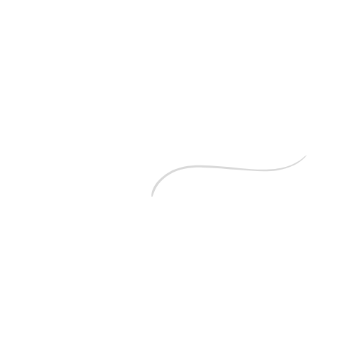 priscillia photographie